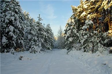 《EA SPORTS PGA TOUR》Steam页面上线 国区售价298元